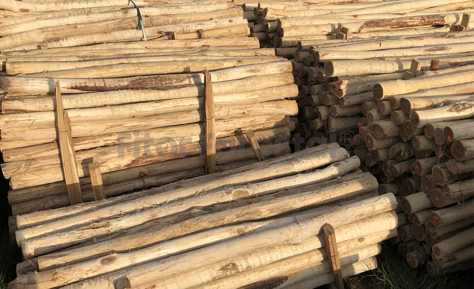 Postes de madera de acacia
