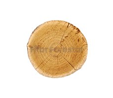 Sección madera acacia